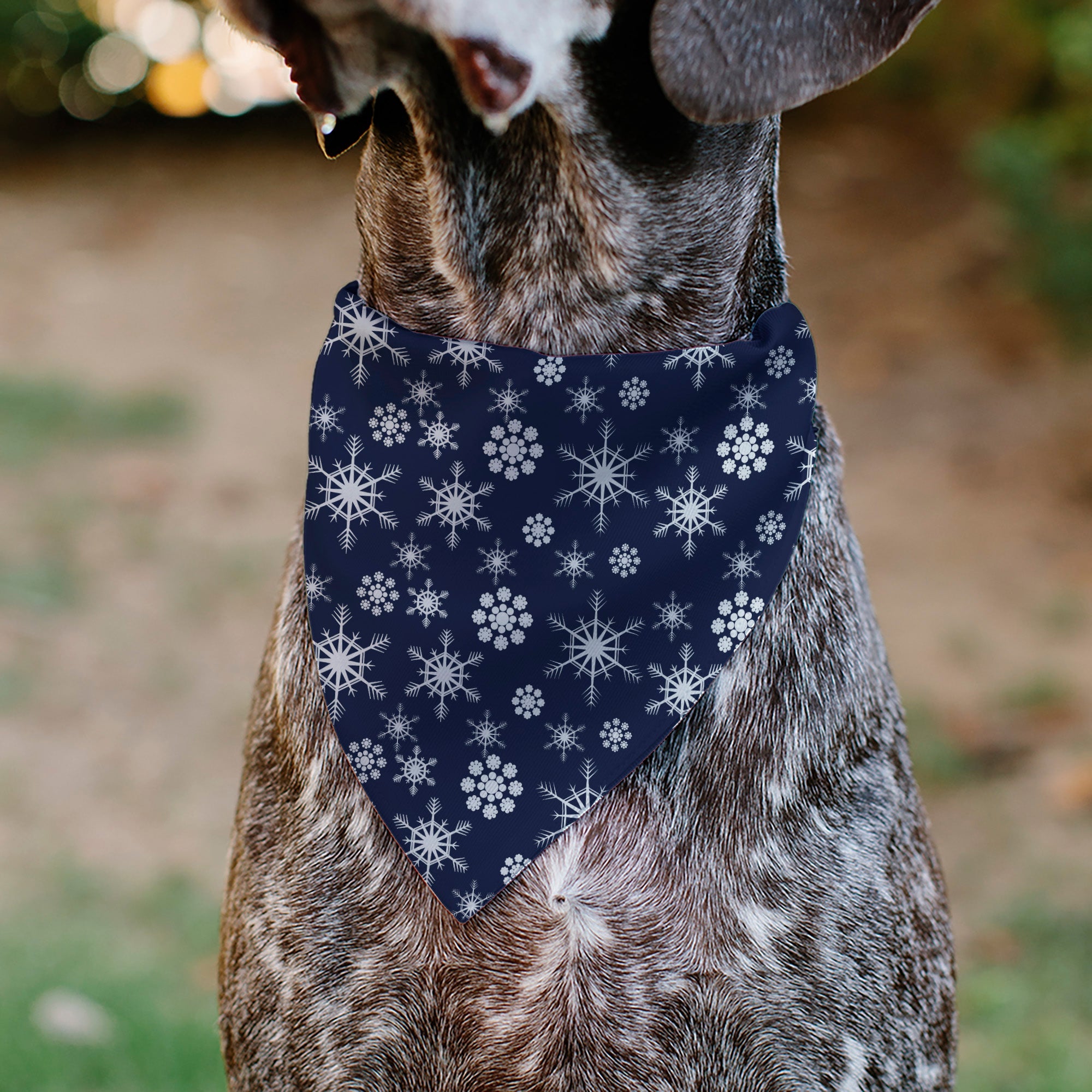 Pet Bandana - Snowflakes Blue/White