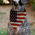 Load image into Gallery viewer, Pet Bandana - Vintage US Flag Repeat
