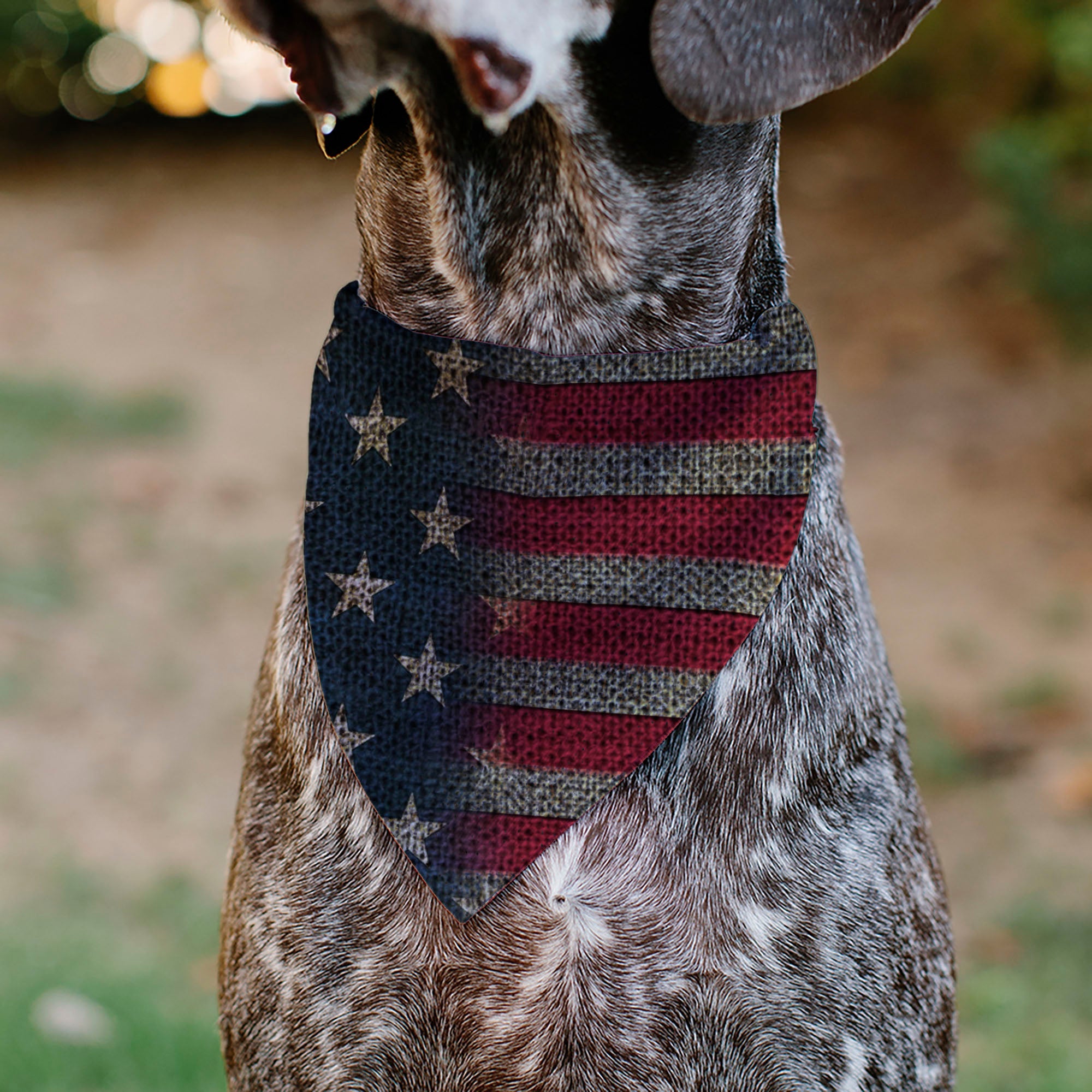 Pet Bandana - Vintage US Flag Stretch