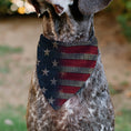 Load image into Gallery viewer, Pet Bandana - Vintage US Flag Stretch
