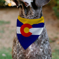 Load image into Gallery viewer, Pet Bandana - Colorado Flag/Mountain Silhouette Yellow
