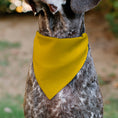 Load image into Gallery viewer, Pet Bandana - Colorado Flag/Mountain Silhouette Yellow
