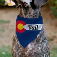 Load image into Gallery viewer, Pet Bandana - Colorado VAIL Flag Blue/White/Red/Yellow

