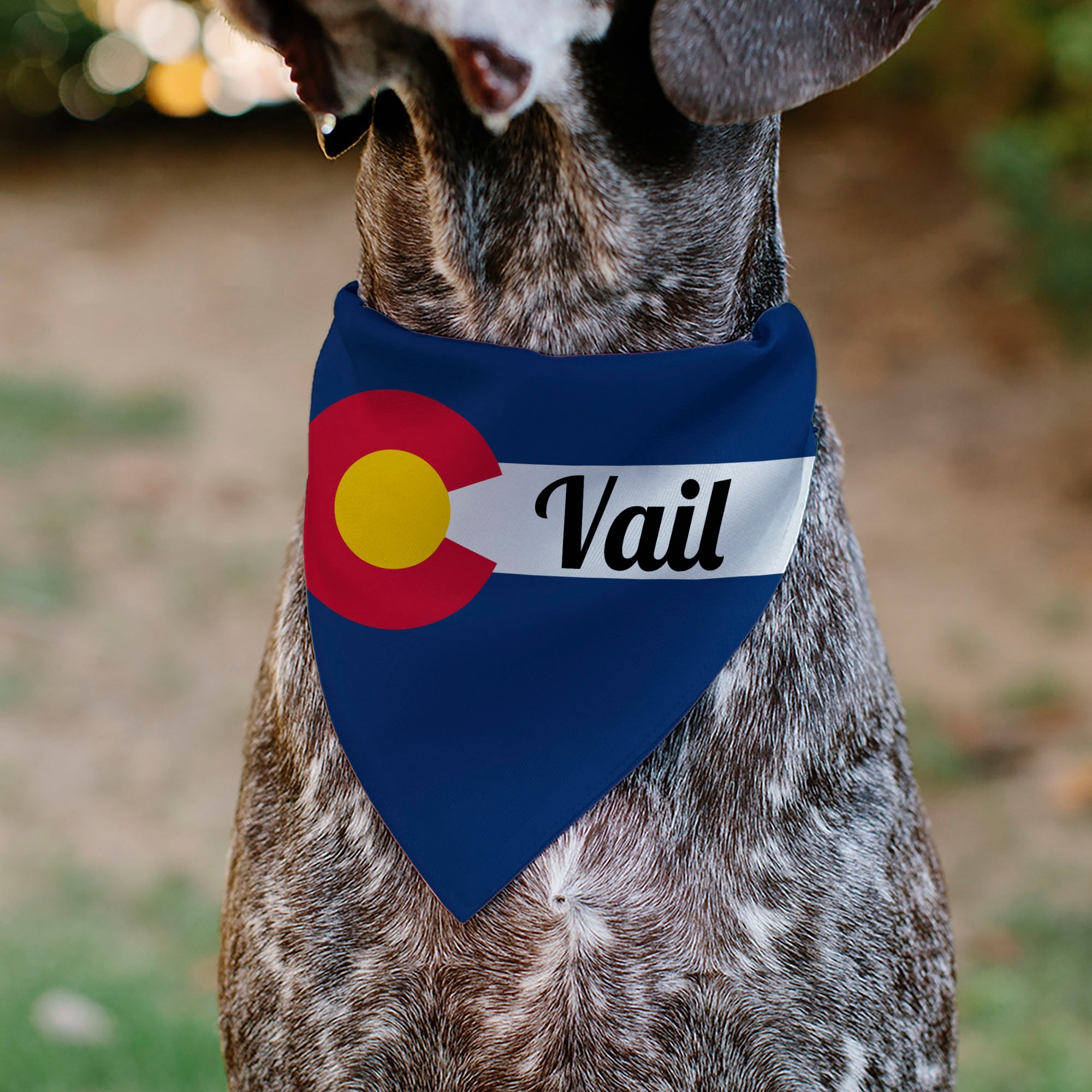 Pet Bandana - Colorado VAIL Flag Blue/White/Red/Yellow