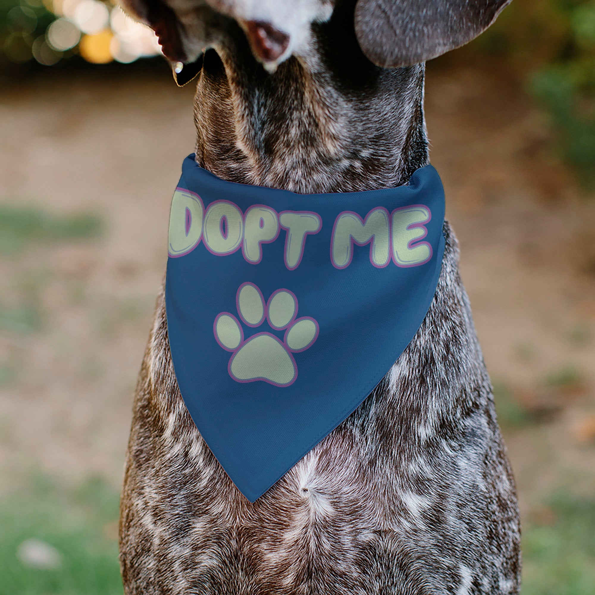 Pet Bandana - ADOPT ME Text and Paw Black/Lavender/Ivory