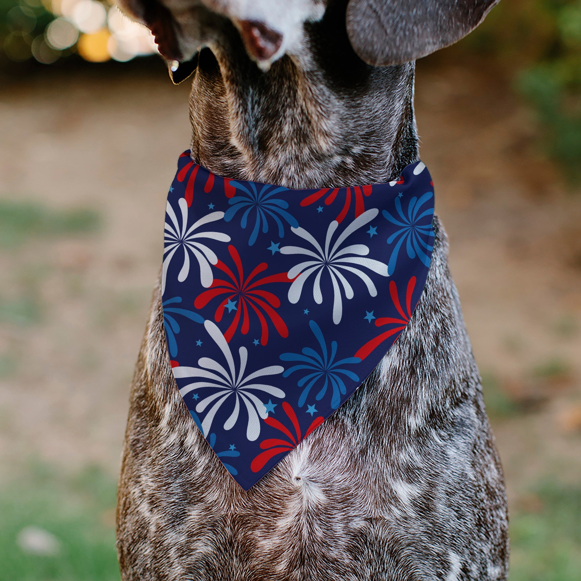 Pet Bandana - Americana Fireworks Show Blues/Red/White