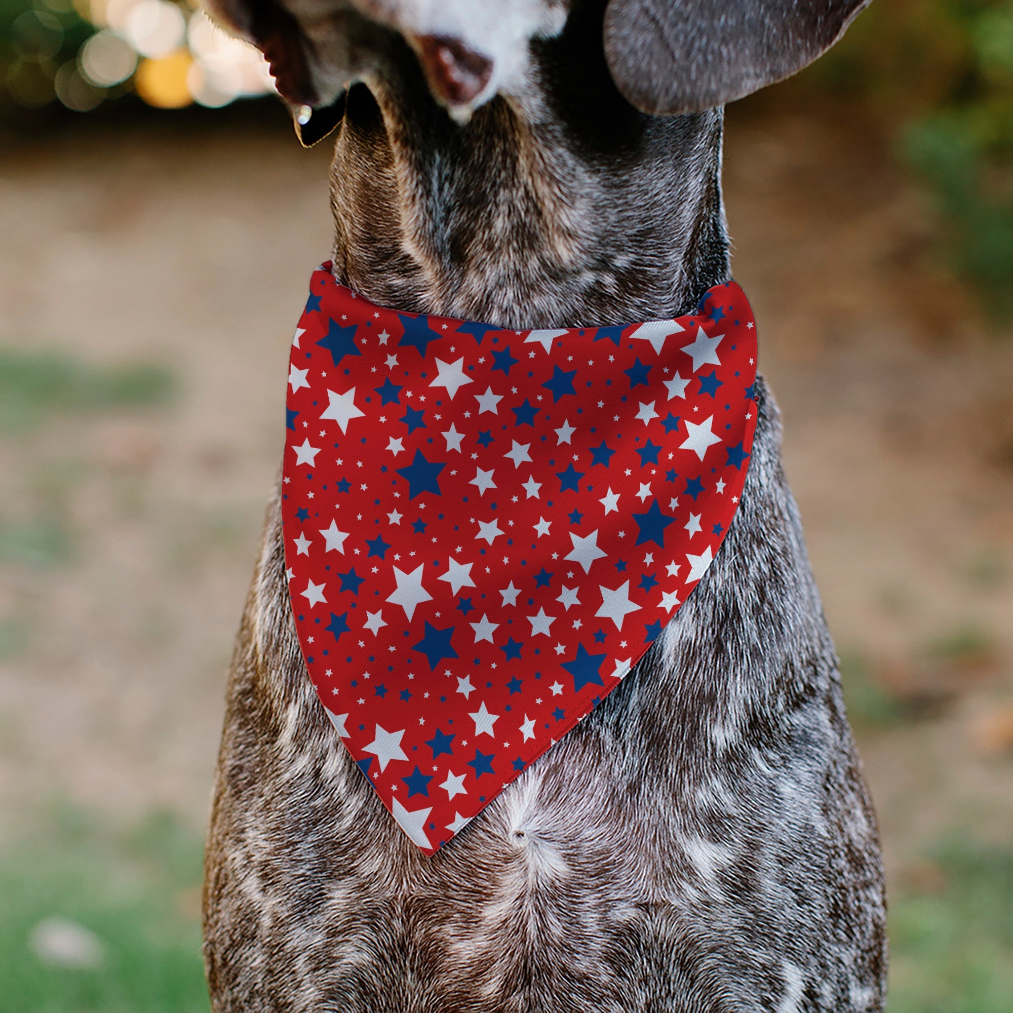 Pet Bandana - Americana Stars Scattered Red/White/Blue