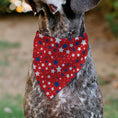 Load image into Gallery viewer, Pet Bandana - Americana Stars Scattered Red/White/Blue
