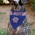 Load image into Gallery viewer, Pet Bandana - BIG SISTER Text and Paw Blues/Lavender
