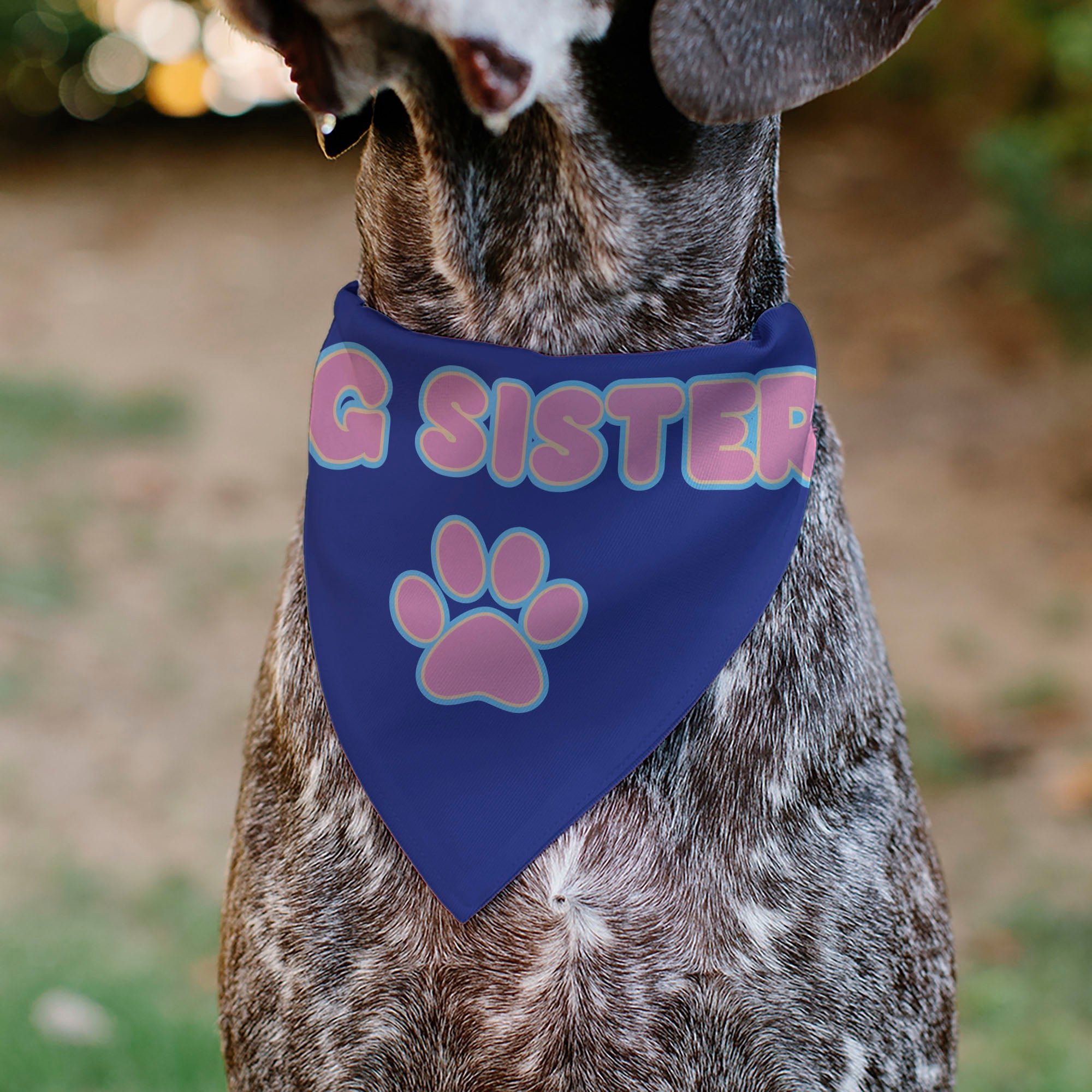 Pet Bandana - BIG SISTER Text and Paw Blues/Lavender