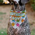 Load image into Gallery viewer, Pet Bandana - BIRTHDAY BOY Text and Stars White/Multi Color
