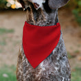 Load image into Gallery viewer, Pet Bandana - BIRTHDAY BOY Text Red/Yellow/Blue/White
