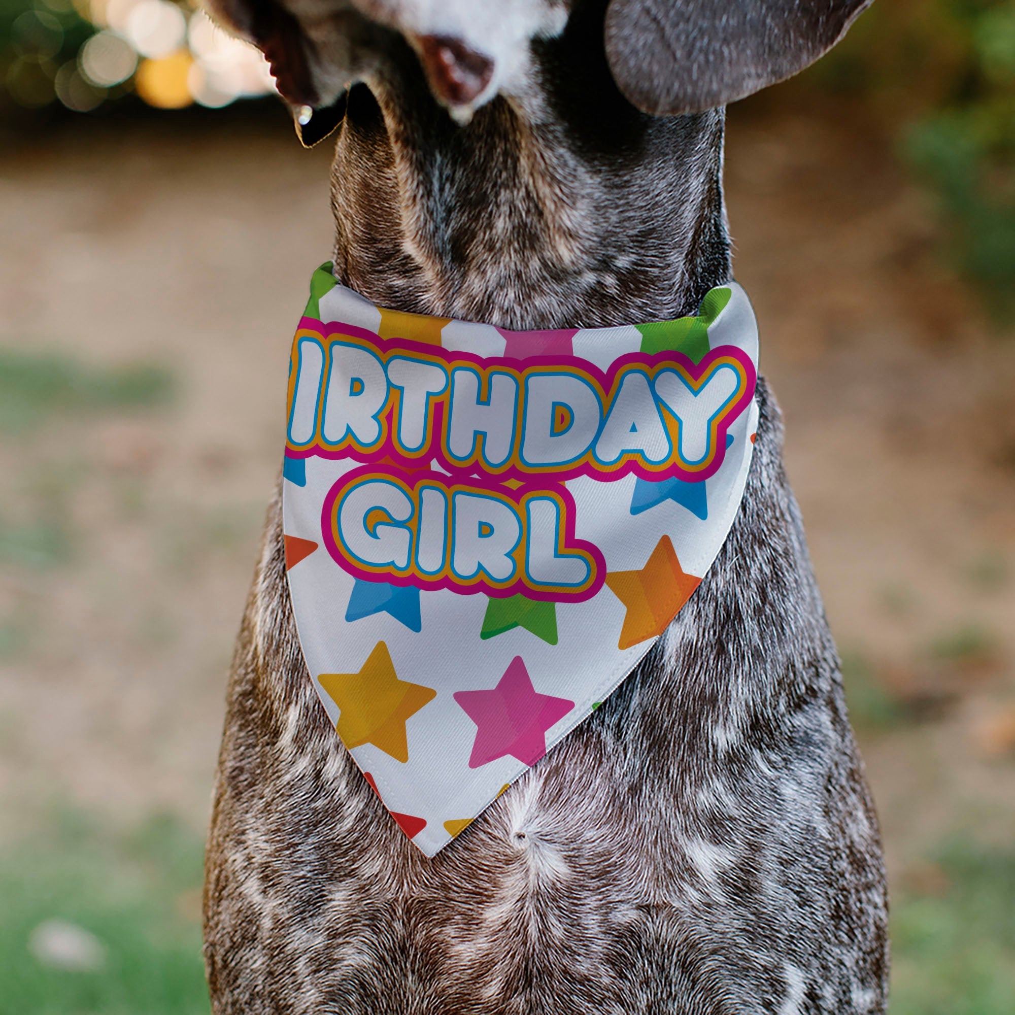 Pet Bandana - BIRTHDAY GIRL Text and Stars White/Multi Color