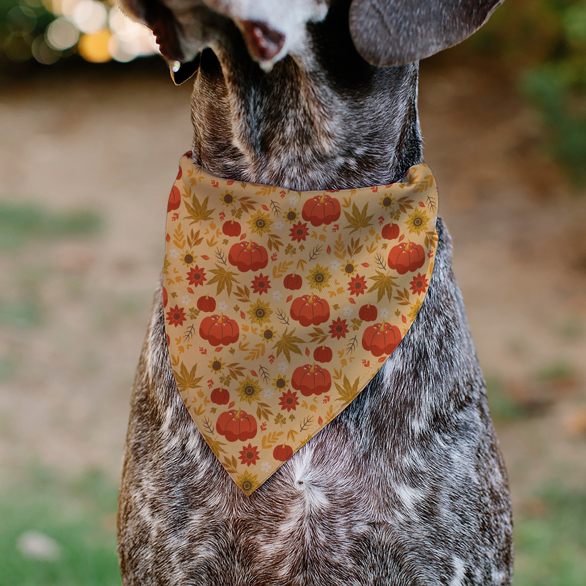 Pet Bandana - Fall Harvest Pumpkins and Flowers Collage Tan/Orange/Yellows