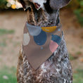 Load image into Gallery viewer, Pet Bandana - HAPPY BIRTHDAY Text and Balloons Tan/Multi Color
