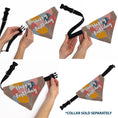 Load image into Gallery viewer, Pet Bandana - HAPPY BIRTHDAY Text and Balloons Tan/Multi Color
