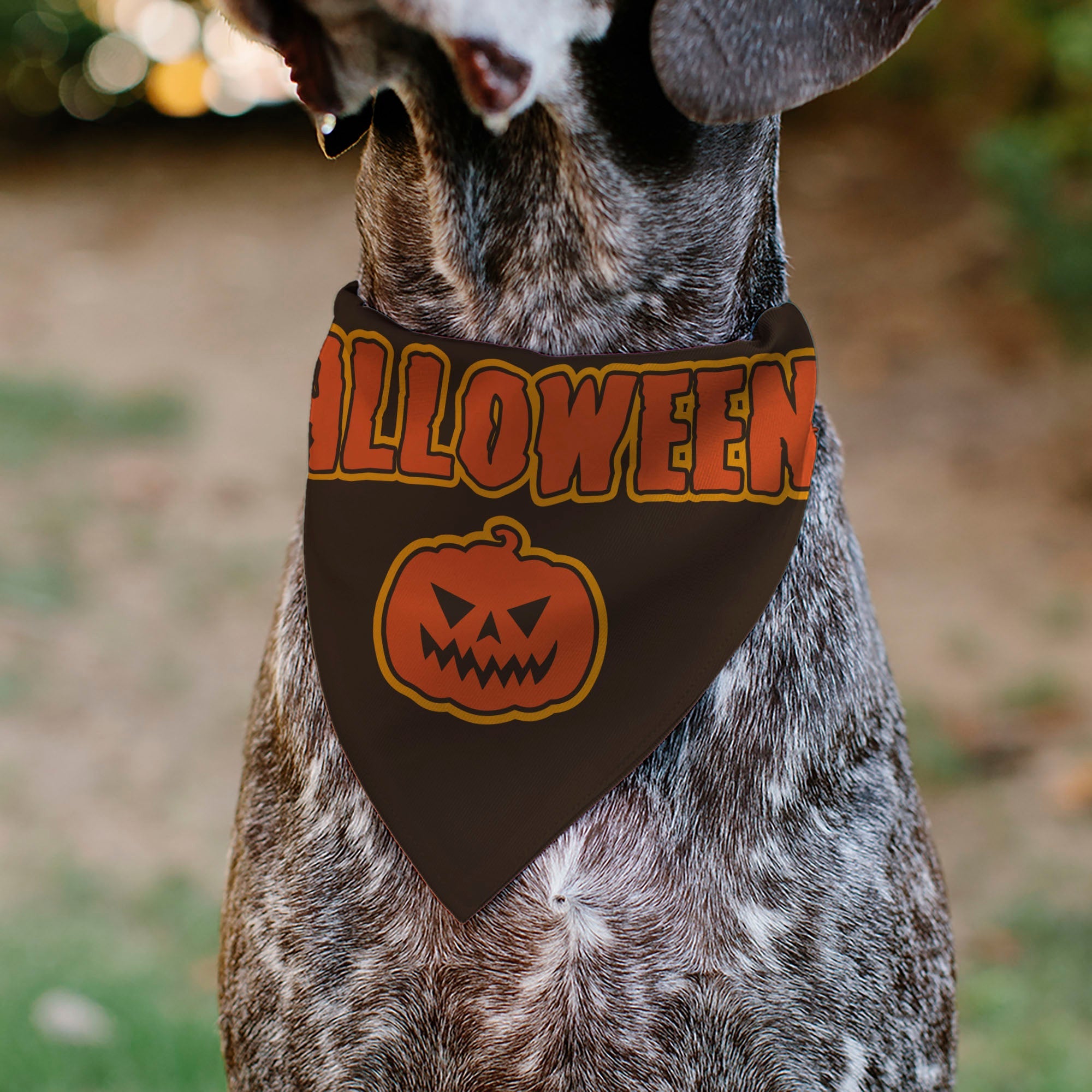Pet Bandana - HALLOWEEN Jack-O-Lantern Pumpkin Black/Orange