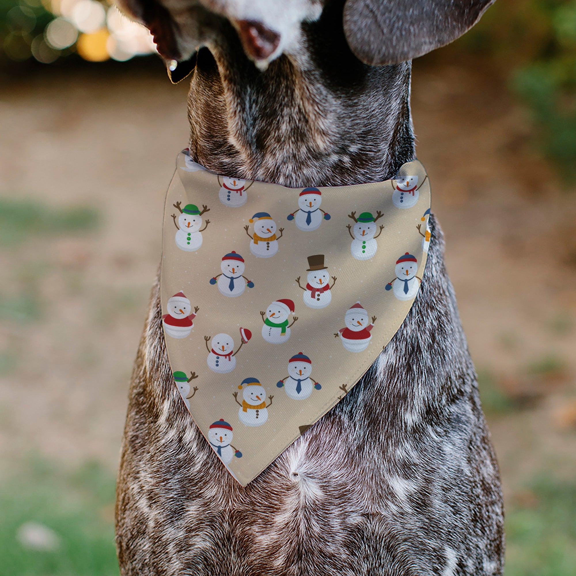 Pet Bandana - Holiday Snowman Poses Tan