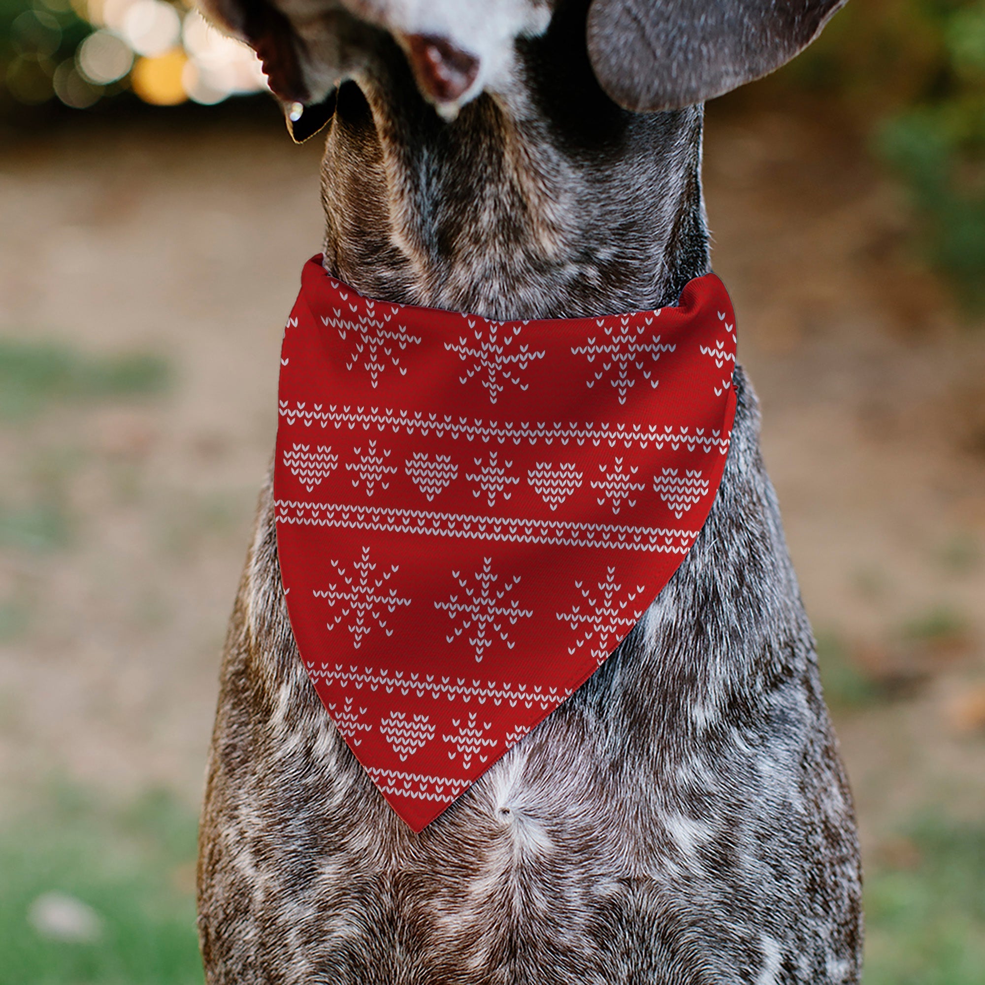 Pet Bandana - Holiday Sweater Stitch Hearts and Snowflakes Red/White