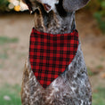 Load image into Gallery viewer, Pet Bandana - Holiday Pajama Plaid Red/Black
