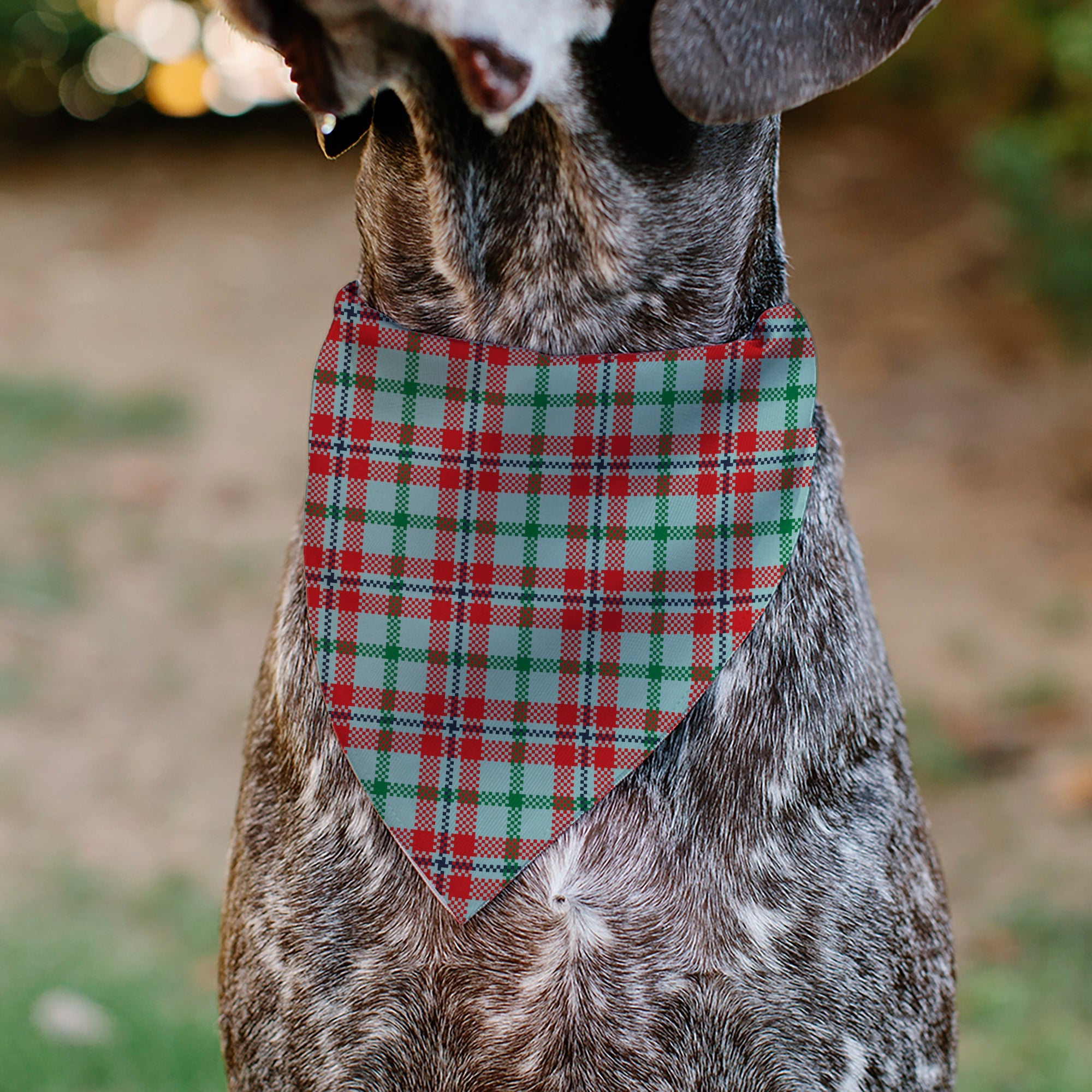 Pet Bandana - Holiday Pajama Plaid Beige/Red/Green
