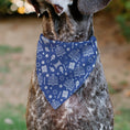 Load image into Gallery viewer, Pet Bandana - Hanukkah Holiday Symbols Blue/White
