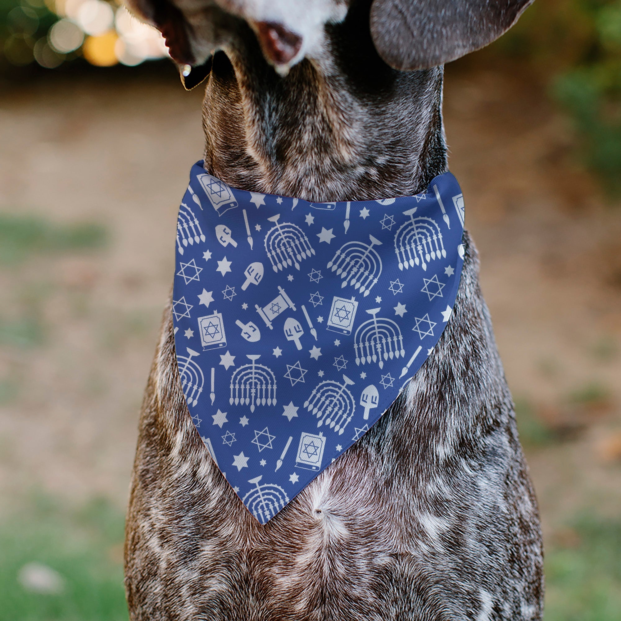 Pet Bandana - Hanukkah Holiday Symbols Blue/White