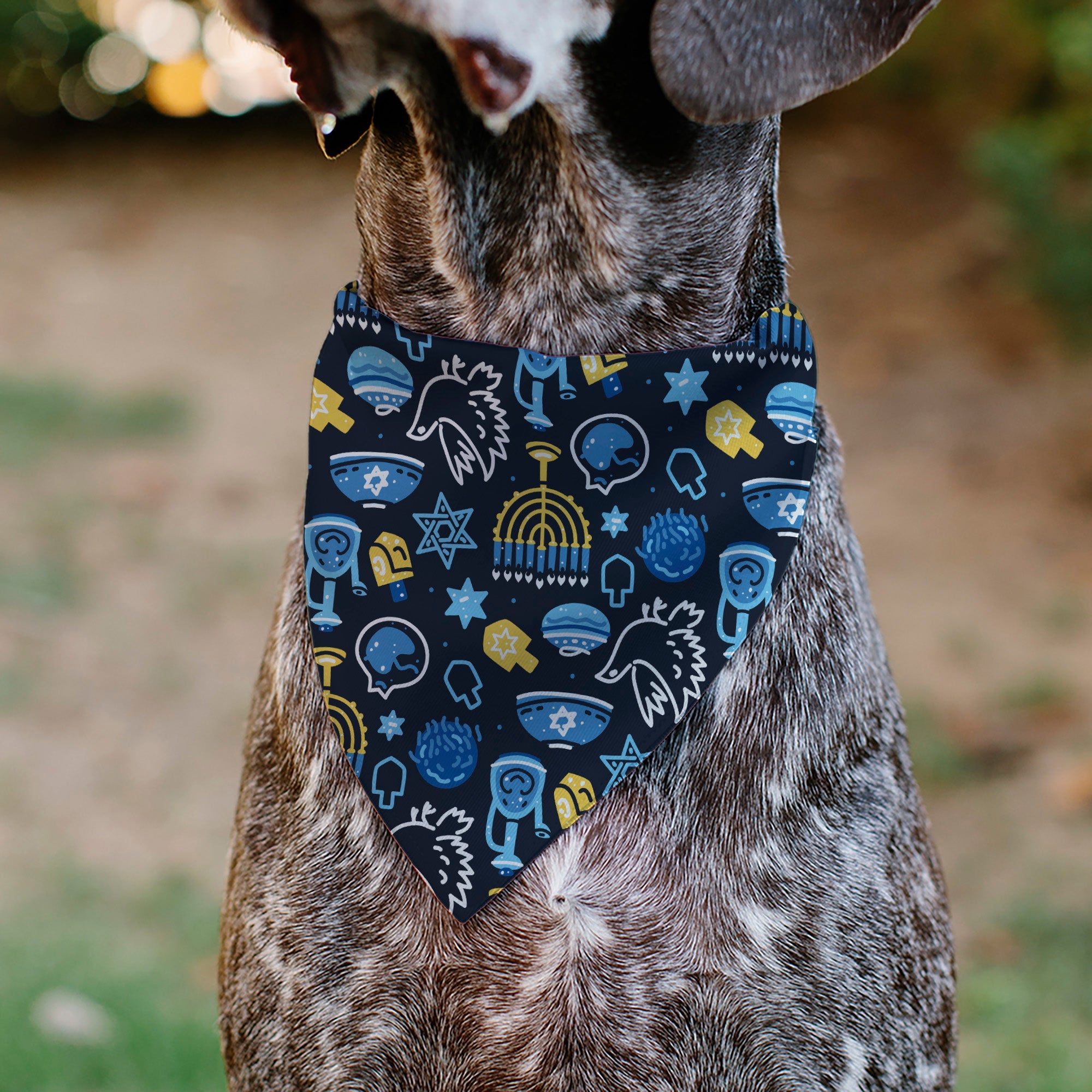 Pet Bandana - Hanukkah Holiday Symbols Black/Blues/Yellow