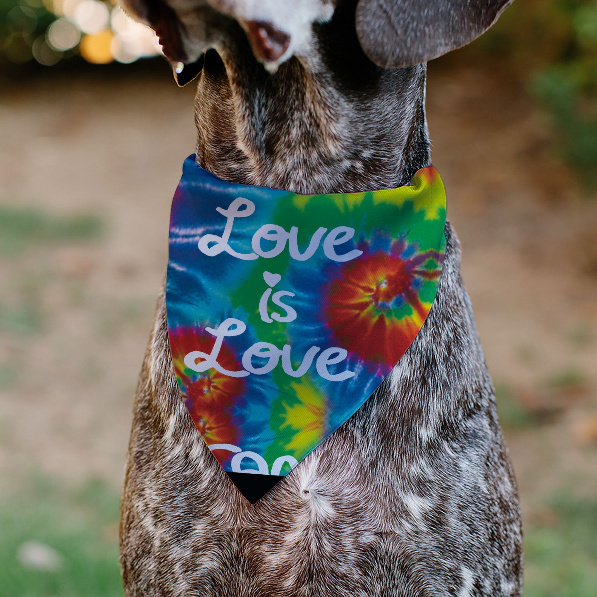 Pet Bandana - LOVE IS LOVE BD Tie Dye/White