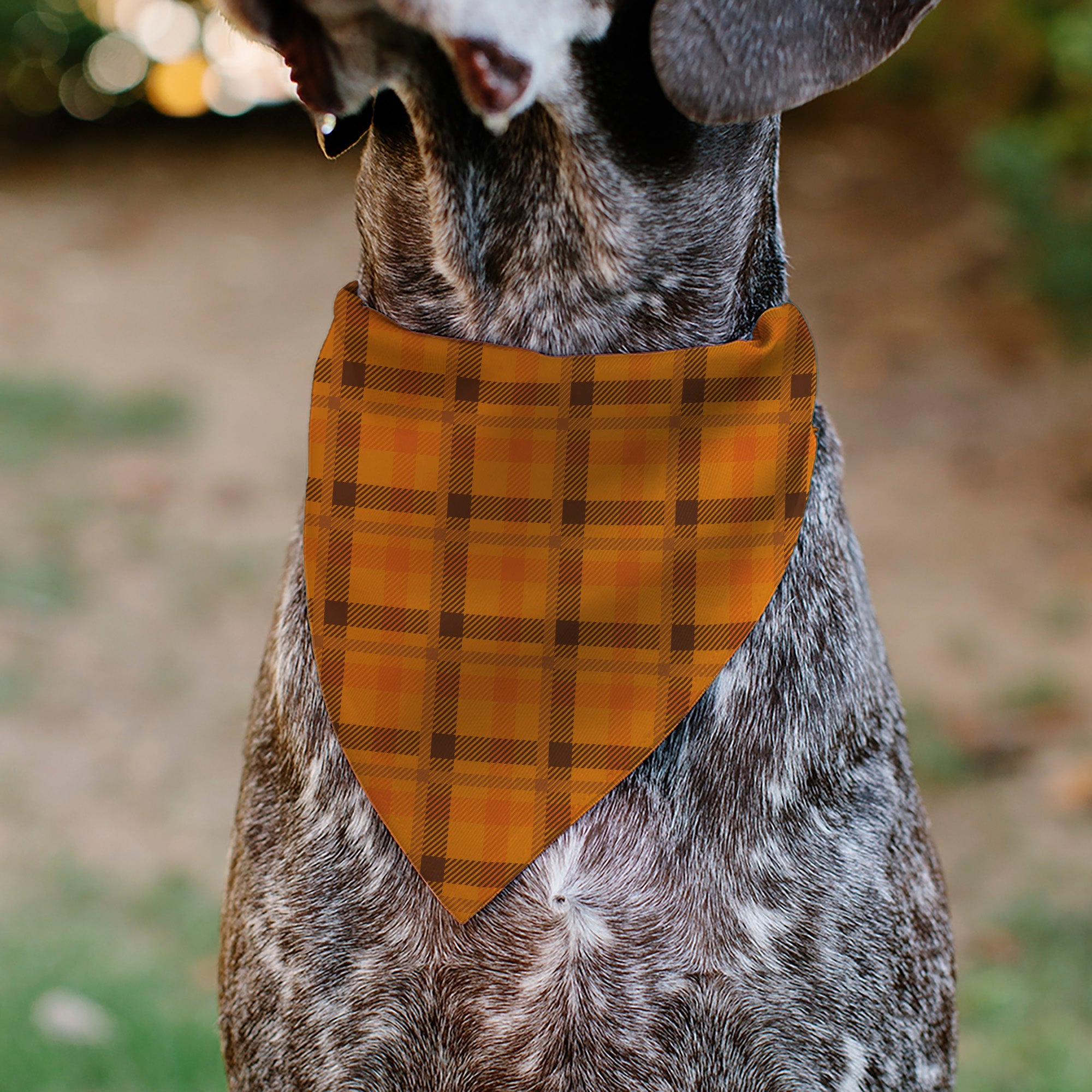 Pet Bandana - Plaid Orange/Brown