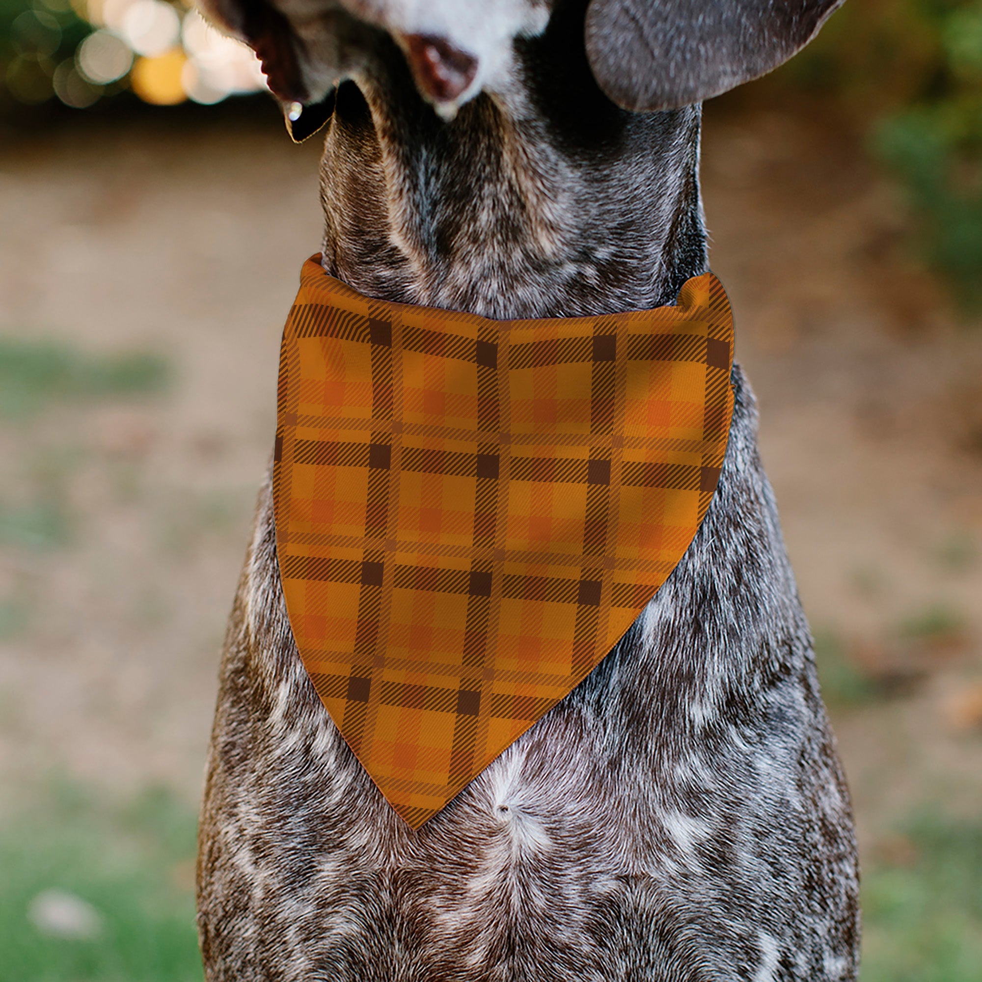 Pet Bandana - Plaid Orange/Brown
