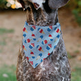 Load image into Gallery viewer, Pet Bandana - Stars and Stripes Desserts Scattered Baby Blue/Red/White/Blue
