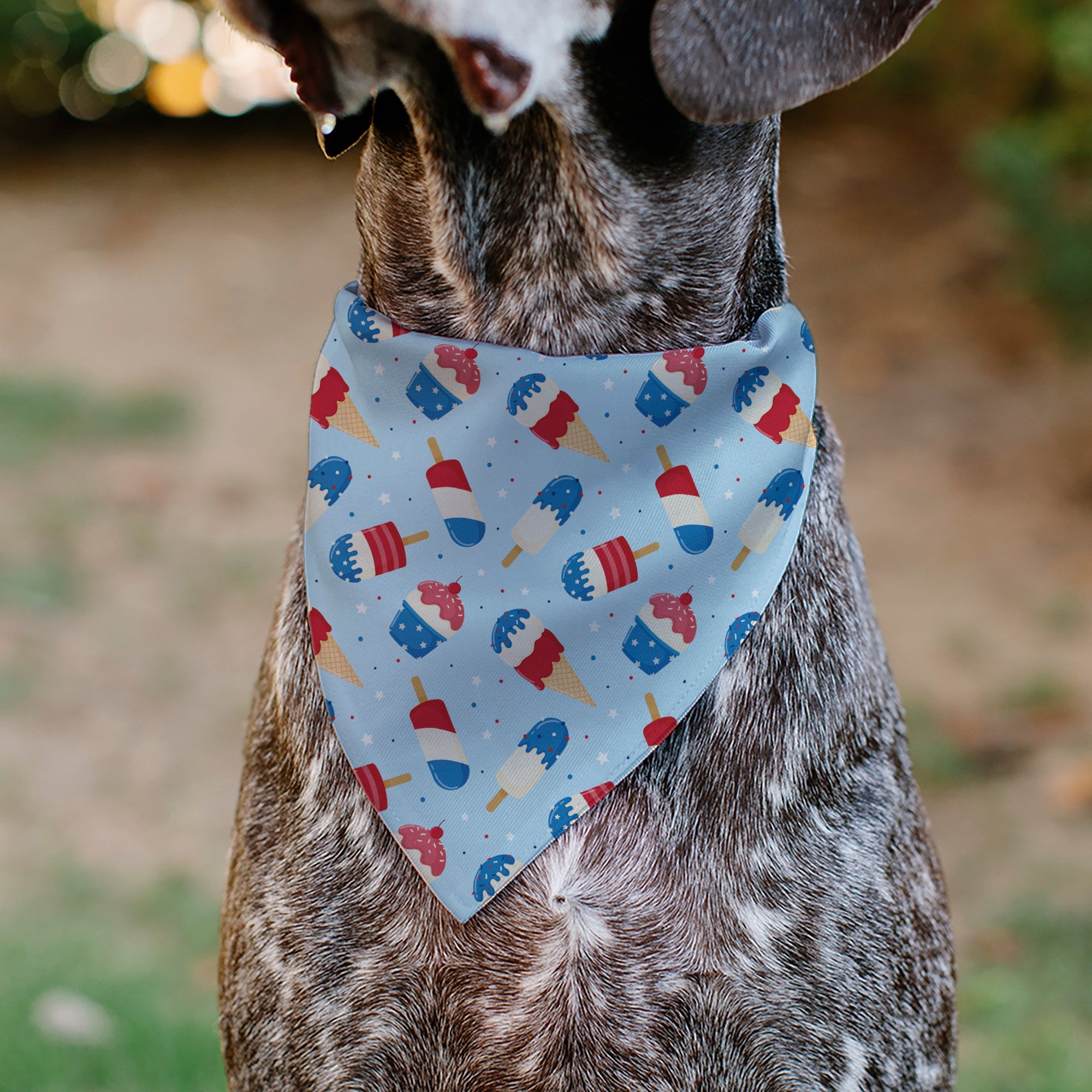 Pet Bandana - Stars and Stripes Desserts Scattered Baby Blue/Red/White/Blue