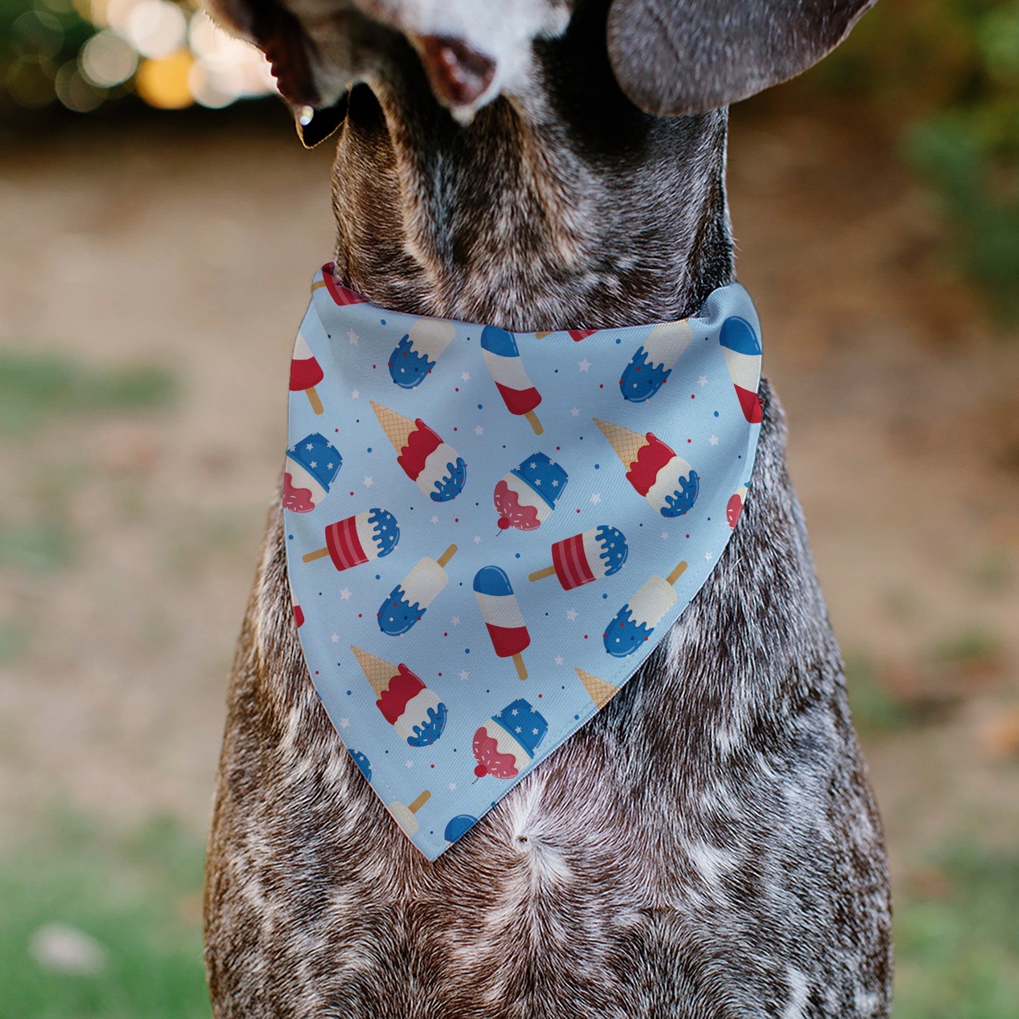 Pet Bandana - Stars and Stripes Desserts Scattered Baby Blue/Red/White/Blue
