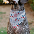 Load image into Gallery viewer, Pet Bandana - Stars and Stripes Fireworks White/Blue/Red
