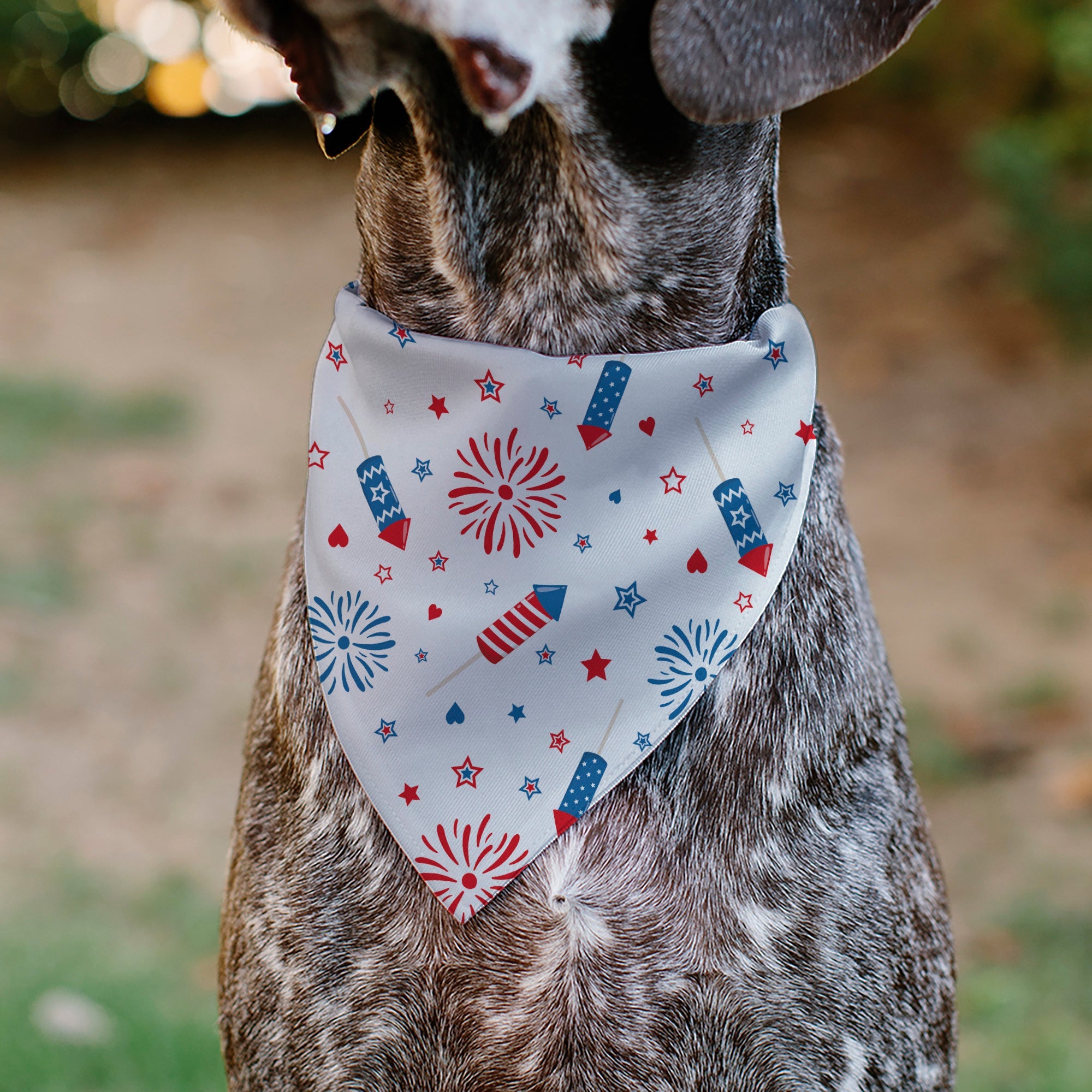 Pet Bandana - Stars and Stripes Fireworks White/Blue/Red