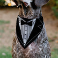 Load image into Gallery viewer, Pet Bandana - Tuxedo Shirt Print Black/White
