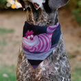 Load image into Gallery viewer, Pet Bandana - Alice in Wonderland Cheshire Cat Smiling Pose

