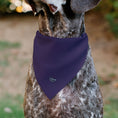 Load image into Gallery viewer, Pet Bandana - Alice in Wonderland Cheshire Cat Smiling Pose

