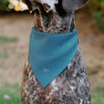 Load image into Gallery viewer, Pet Bandana - The Little Mermaid Ariel Pose and Shells Sketch

