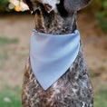 Load image into Gallery viewer, Pet Bandana - Lilo & Stitch Stitch Winking Pose and Polka Dots White/Blue
