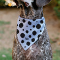 Load image into Gallery viewer, Pet Bandana - 101 Dalmatians Cruella's Spots White/Black
