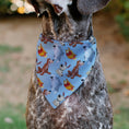 Load image into Gallery viewer, Pet Bandana - Disney Princess Dogs 4-Dog Group Collage/Paws Blues
