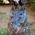 Load image into Gallery viewer, Pet Bandana - Disney Princess Dogs 4-Dog Group Collage/Paws Blues
