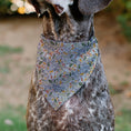 Load image into Gallery viewer, Pet Bandana - Winnie the Pooh Smiling Face/Foliage Collage Beige/Green/Orange/Yellow
