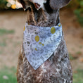 Load image into Gallery viewer, Pet Bandana - Winnie the Pooh Balloon Pose and Foliage Collage Beige/Black/Yellows
