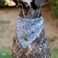 Load image into Gallery viewer, Pet Bandana - Winnie the Pooh Balloon Pose and Foliage Collage Beige/Black/Yellows
