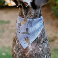 Load image into Gallery viewer, Pet Bandana - Disney Dogs 9-Dog Group Collage/Stars White/Black/Yellow

