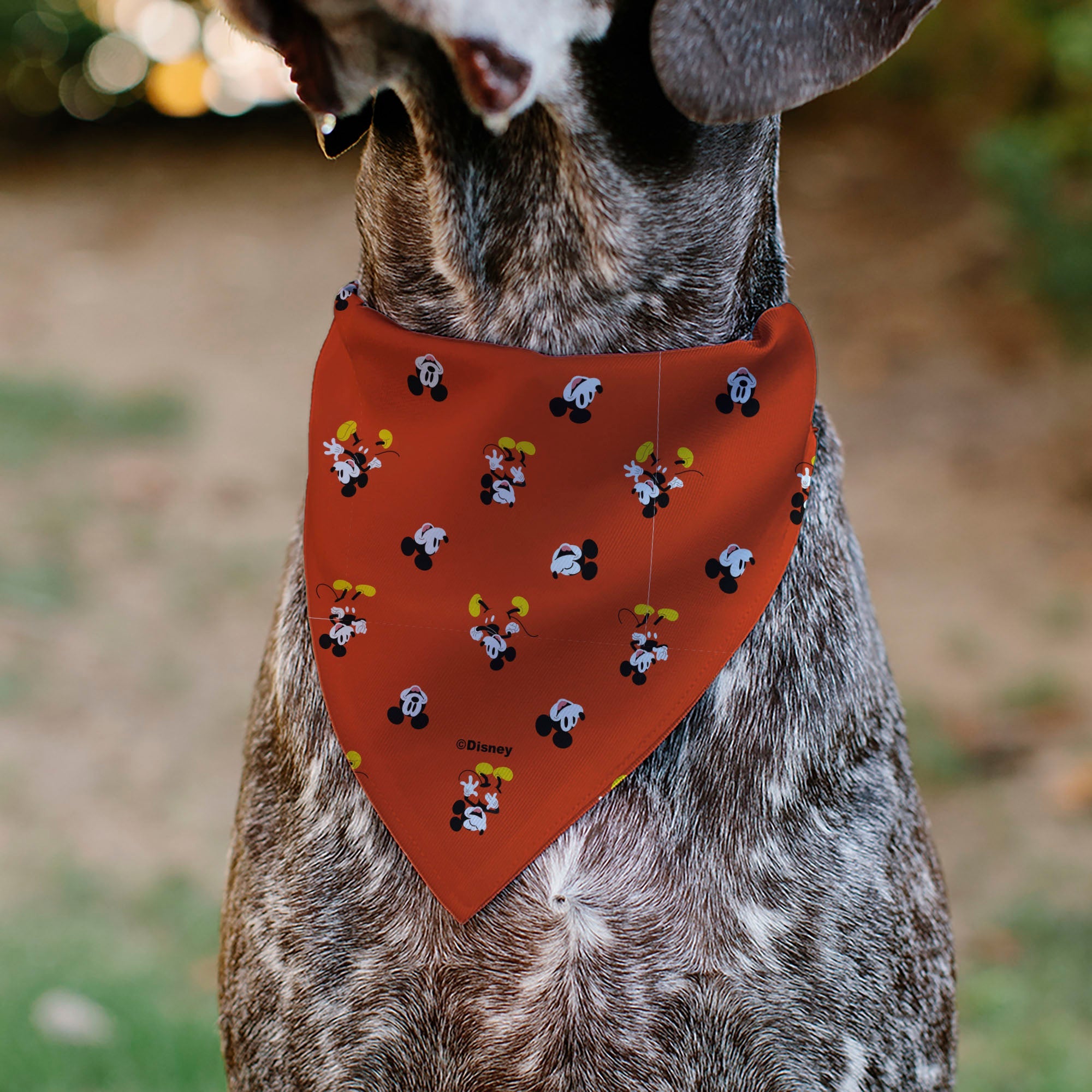 Pet Bandana - Mickey Mouse Poses and Expressions Scattered Red