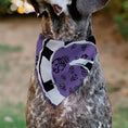 Load image into Gallery viewer, Pet Bandana - Beetlejuice Sandworm Pose and Skulls Icon Purple/Black
